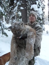 Mountain lion hunting in Montana and Idaho